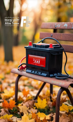 پیچی هوندایی